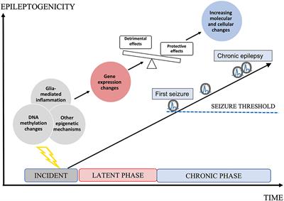 The potential role of DNA methylation as preventive treatment target of epileptogenesis